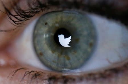 An illustration picture shows the Twitter logo reflected in the eye of a woman in Berlin, November 7, 2013. REUTERS/Fabrizio Bensch/Illustration/File photo