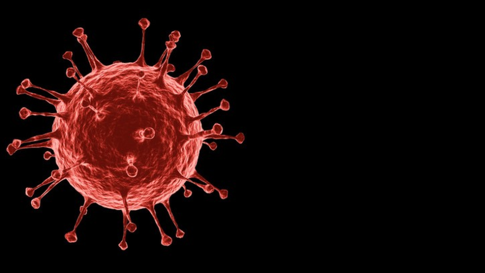 Ilustraci&#xf3;n de la estructura del coronavirus.