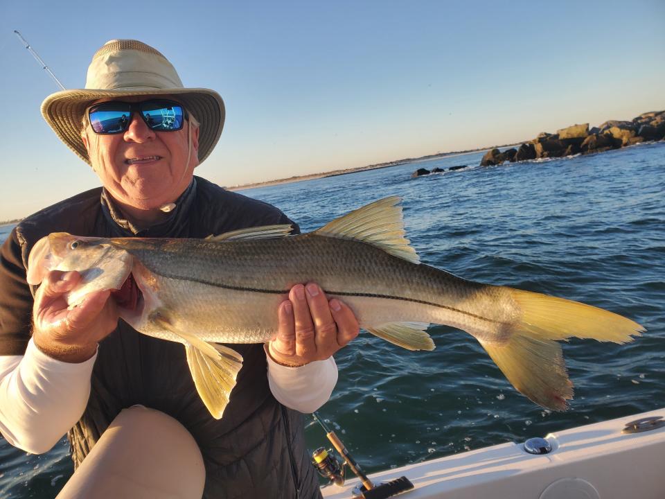 The prized snook is strictly catch-and-release through the end of January.