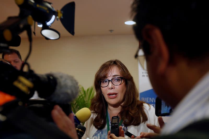 FILE PHOTO: Yeidckol Polevnsky, President and General Secretary of the National Regeneration Movement (MORENA), party of the Mexico's president-elect Andres Manuel Lopez Obrador, talks to the media during the 5th Business Meeting of the Pacific Alliance in