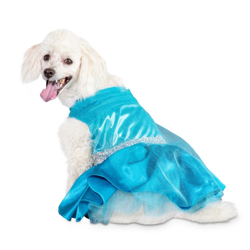 Belle of the Ball Dog Costume