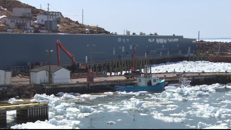 Plant workers optimistic as new Bay de Verde fish plant tests production 1 year after fire