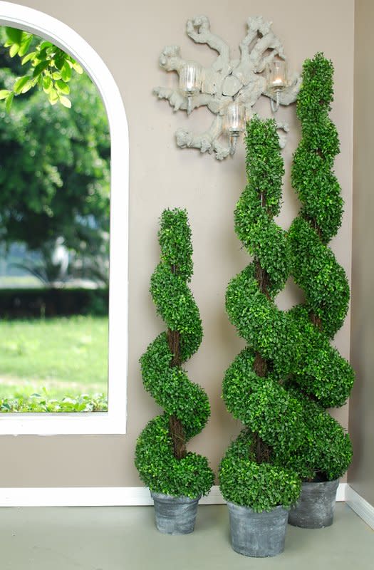 9) Spiral Boxwood Topiary in Planter