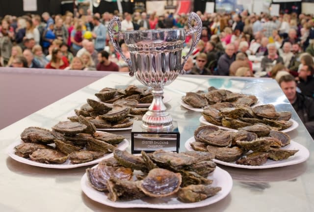 Falmouth Oyster Festival 