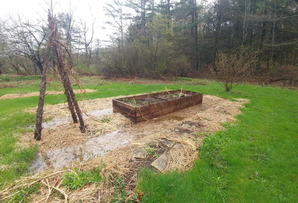 Raised beds are great for areas that flood or stay wet.