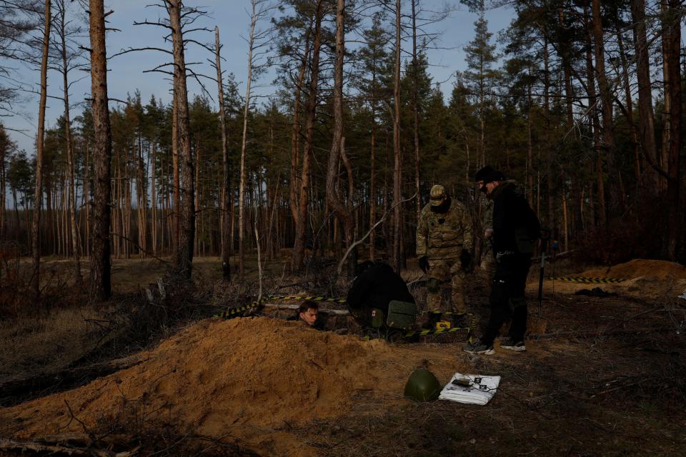 Two men stand in a ditch in the forest and two others look on.