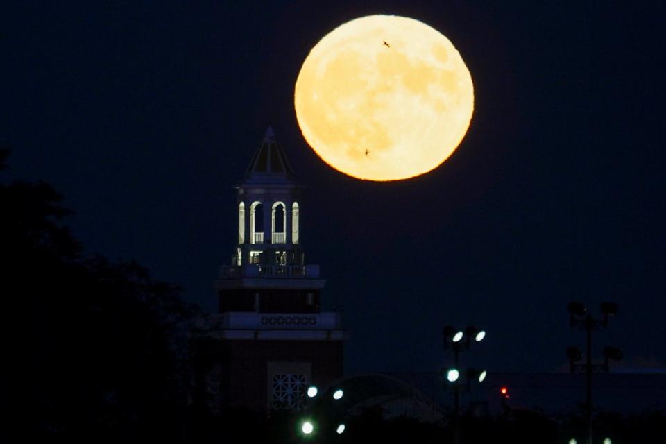 The blue supermoon rises behind Navy Pier Auditorium ( Kiichiro Sato / AP Photo )