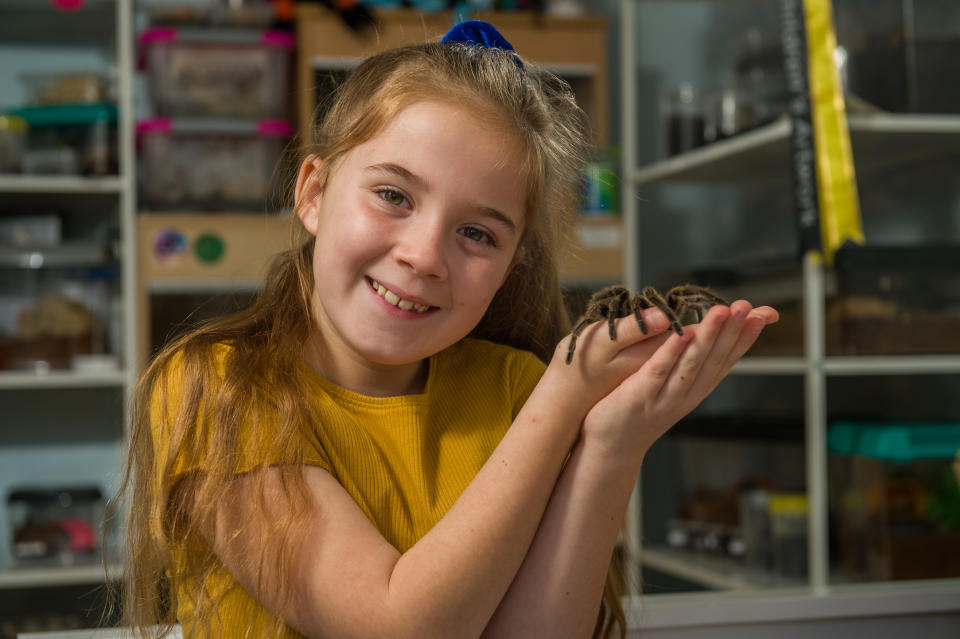 Meet the eight-year-old conservationist who loves spiders so much that she shares her bedroom - with more than 50 of them. Hollie Greenhalgh also keeps two snakes and a scorpion as well as enclosures full of millipedes, grasshoppers, cockroaches and snails in her own impressive mini zoo. The exotic pets are kept in separate enclosures and Hollie spends around three hours every weekend feeding them all. The youngster, who aspires to be the next David Attenborough, hosts her own educational YouTube channel which has more than 6,000 subscribers.