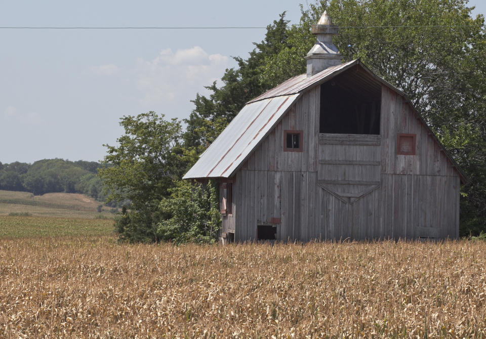 A field of dried corn surrounds a barn near Nebraska City, Neb., Thursday, July 26, 2012. The widest drought to grip the United States in decades is getting worse with no signs of abating. The drought covering two-thirds of the continental U.S. had been considered relatively shallow, the product of months without rain, rather than years, but a report released Thursday showed its intensity is rapidly increasing, with 20 percent of the nation now in the two worst stages of drought, up 7 percent from last week. (AP Photo/Nati Harnik)