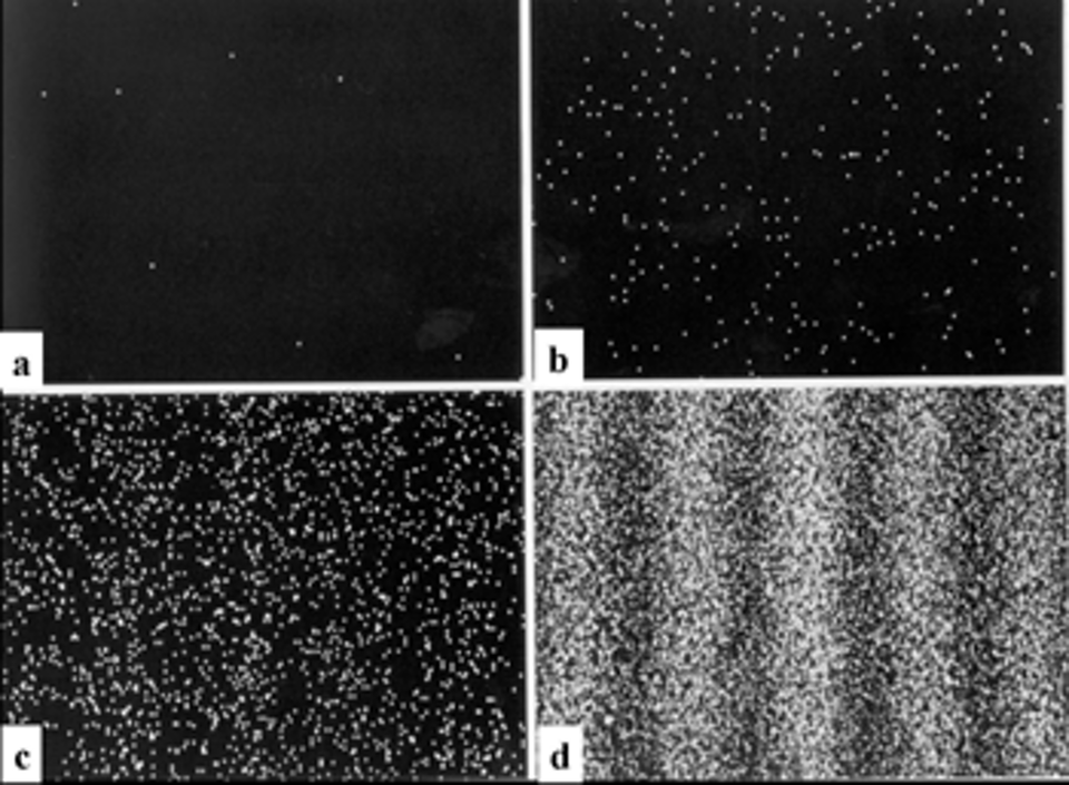 <span class="caption">Resultado del experimento de interferencias de Young: con la llegada progresiva de electrones (8 electrones en la imagen a, 270 en la imagen b, 2000 en la imagen c y 60.000 en la imagen d) se van formando las franjas verticales que constituyen el denominado patrón de interferencia.</span> <span class="attribution"><a class="link " href="https://upload.wikimedia.org/wikipedia/commons/7/79/Doubleslitexperiment_results_Tanamura_1.gif" rel="nofollow noopener" target="_blank" data-ylk="slk:Dr Tonomura/Wikimedia;elm:context_link;itc:0;sec:content-canvas">Dr Tonomura/Wikimedia</a>, <a class="link " href="http://creativecommons.org/licenses/by-sa/4.0/" rel="nofollow noopener" target="_blank" data-ylk="slk:CC BY-SA;elm:context_link;itc:0;sec:content-canvas">CC BY-SA</a></span>