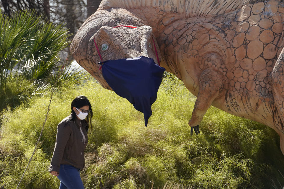 A woman wearing a face mask to protect against the spread of COVID-19 walks past a mask clad Acrocanthosaurus display at the Witte Museum, Thursday, Jan. 28, 2021, in San Antonio. (AP Photo/Eric Gay)