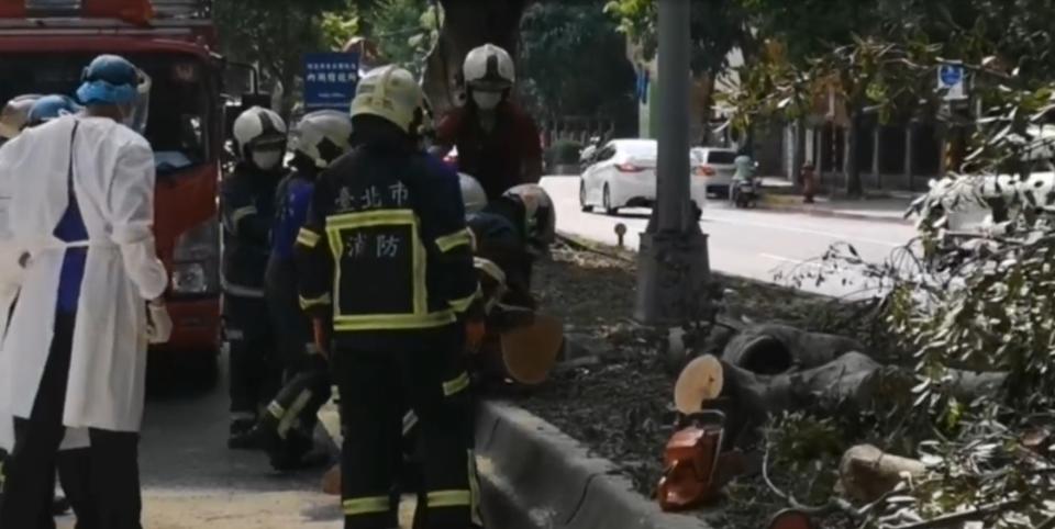 陳世念將向市府提出國賠。（圖／東森新聞）