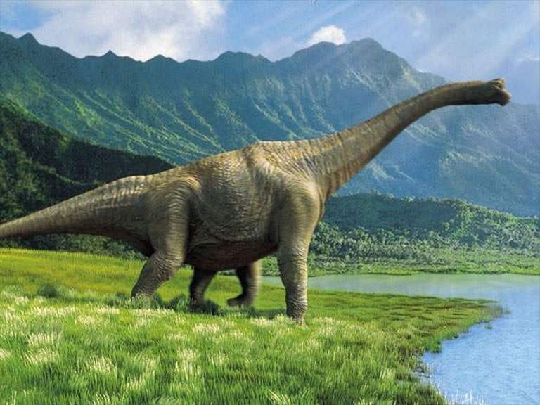 Los saurópodos eran dinosaurios herbívoros de gran tamaño