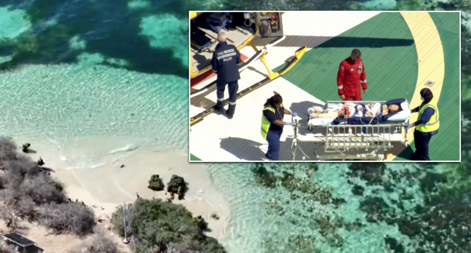 The woman was the only person on the sea lion tour to be bitten. Source: Nine News