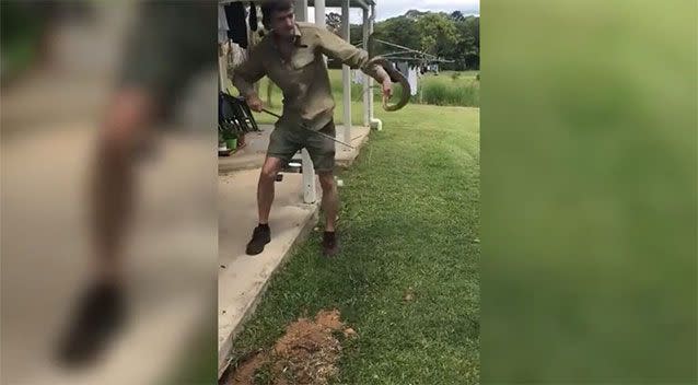 Mr Huntley said the pregnant snake had tried to bite him and didn't want to be moved. Source: Snake Catcher Noosa/ Facebook