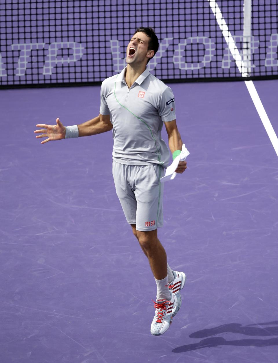 Novak Djokovic of Serbia, celebrates after defeating Rafael Nadal of Spain, 6-3, 6-3 during the men's final match at the Sony Open Tennis tournament on Sunday, March 30, 2014, in Key Biscayne, Fla. (AP Photo/Wilfredo Lee)