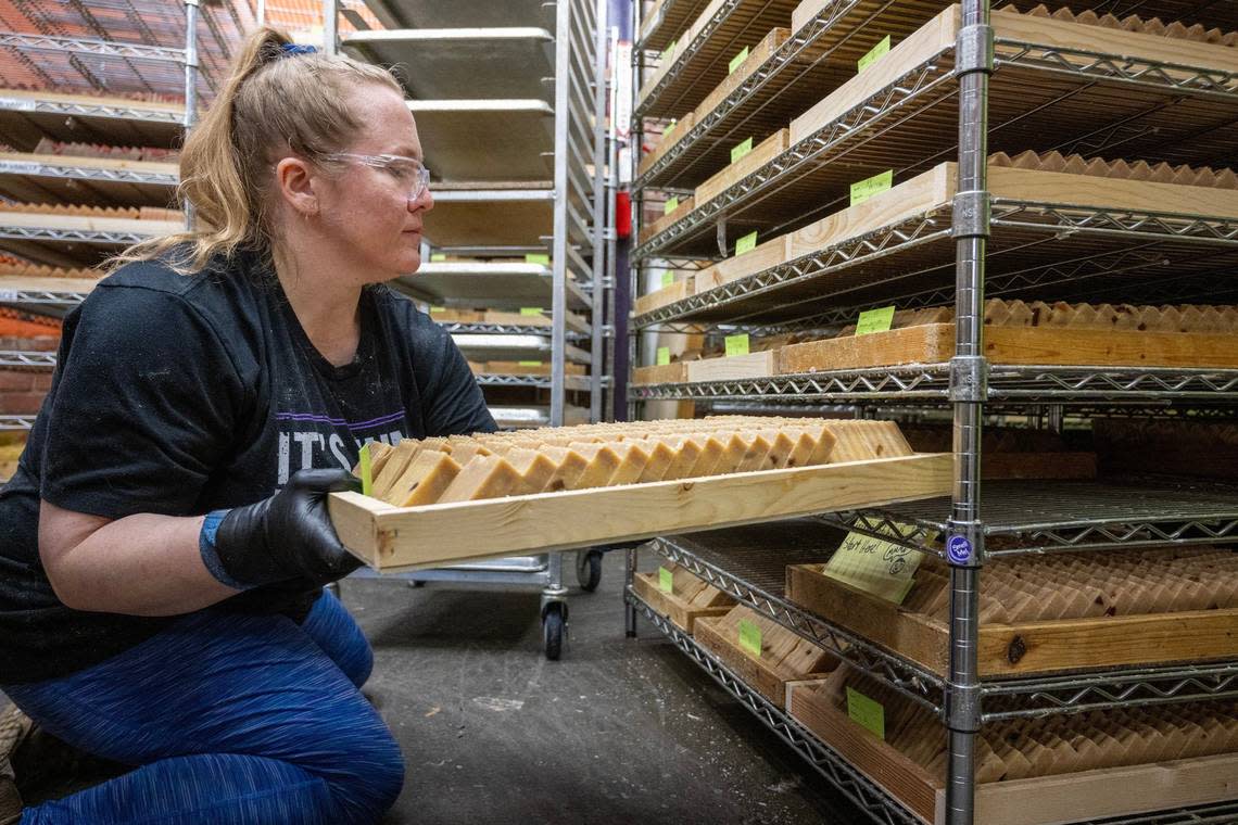 An Indigo Wild employee assembles freshly cut Zum Bar soaps in their designated section within the soap storage area at Indigo Wild’s soap making facility.