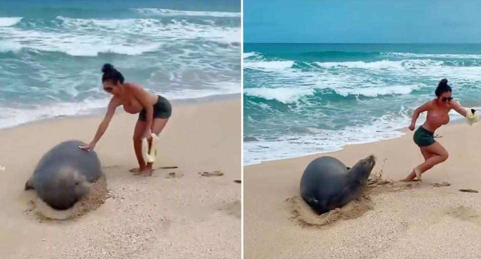 Lakyn (pictured) is seen touching the Hawaiian monk seal in a TikTok video.