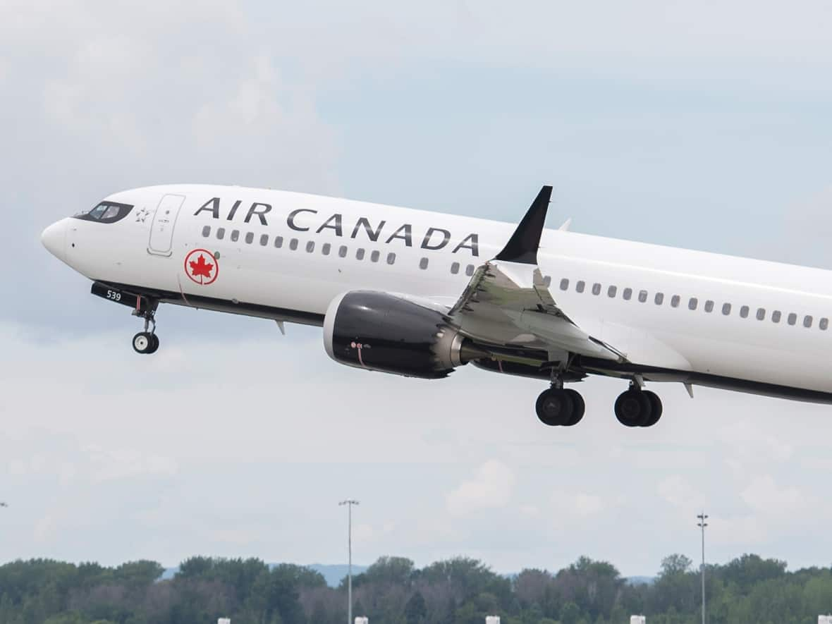 Air Canada says service dogs must be registered with the airline 48 hours before boarding one of its flights. However, the company says in Wainwright's case, 'we did not meet our usual customer service standards.' (Graham Hughes/The Canadian Press - image credit)