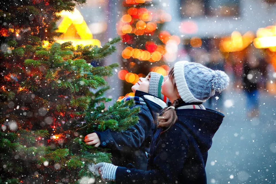 聖誕樹（Image Source : Getty Creative/iStockphoto）