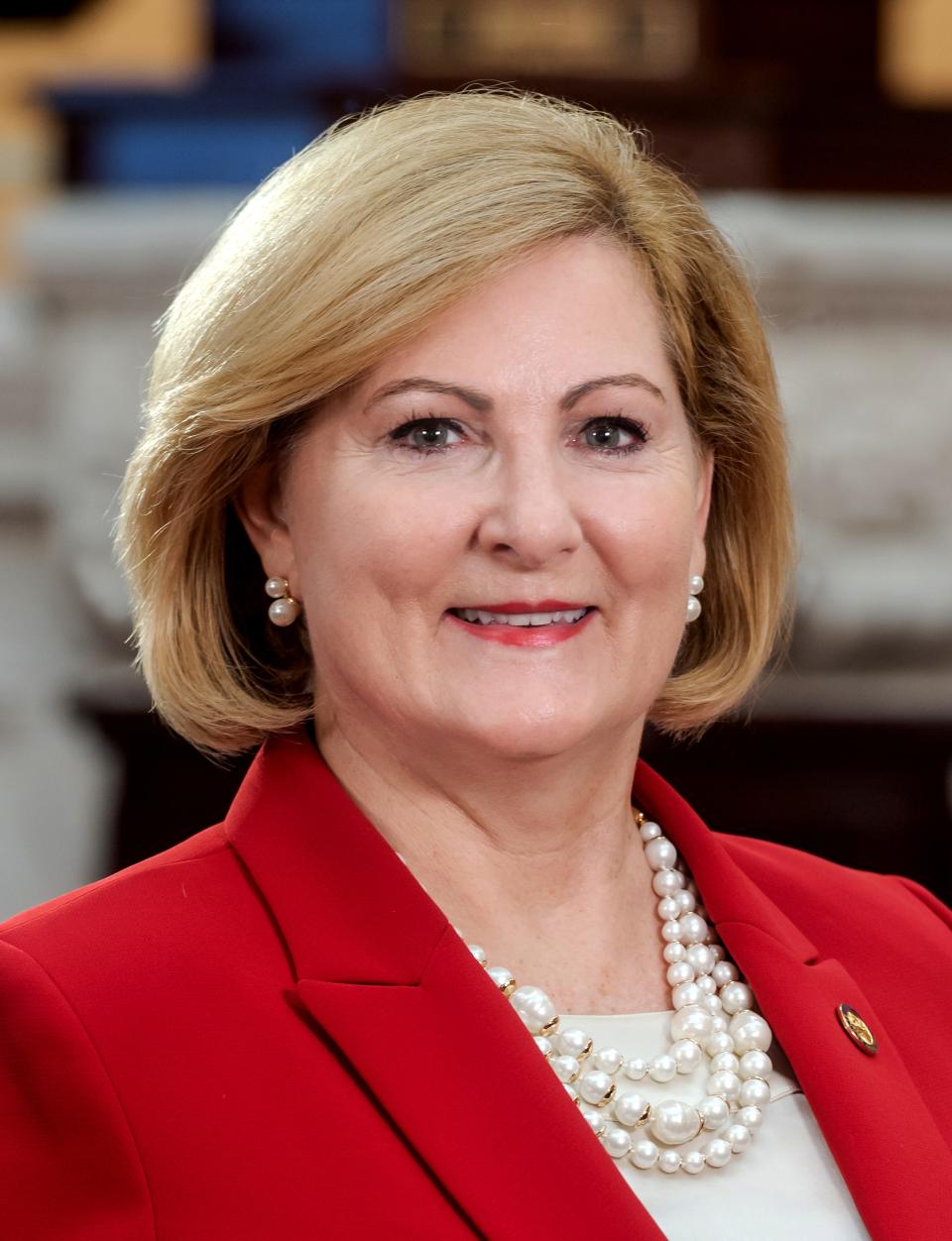 Teresa Fedor is a member of the Ohio Senate, representing the 11th district since 2019.