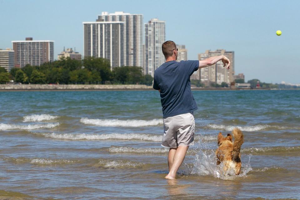 A dog and its owner play on Montrose Beach along Lake Michigan in Chicago