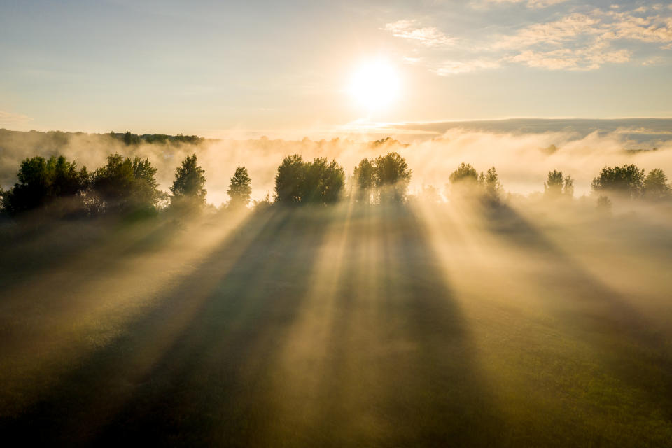 Herbsthoch Charly bringt Nebel und Sonne nach Deutschland (Symbolbild: Getty Images)