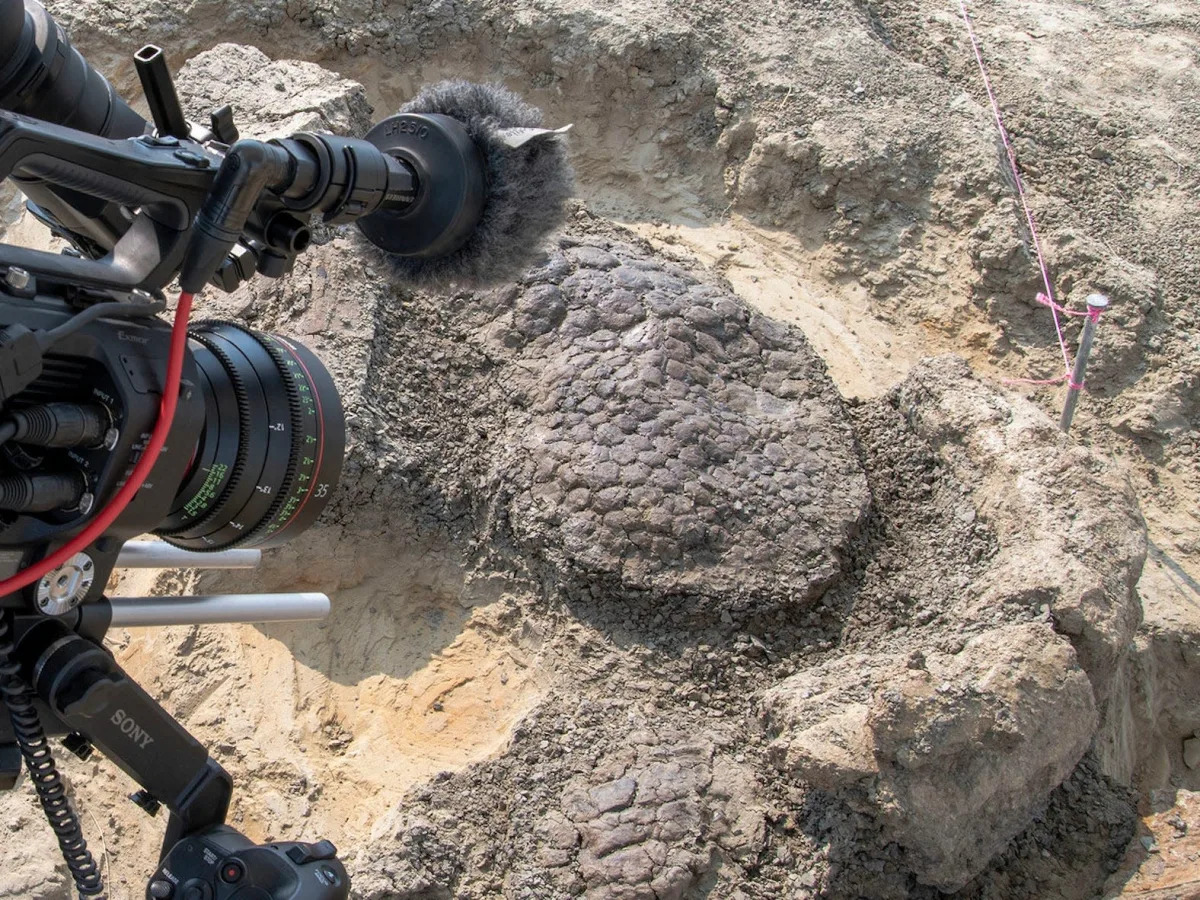 Scientists claim they've found a perfectly preserved dinosaur fossil killed when..