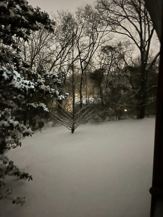 Snow in Donelson (Courtesy: Linda Simpson)