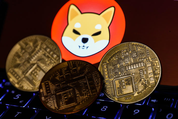 Shiba Inu is to launch it's own stable coin. Photo: Jakub Porzycki/NurPhoto via Getty Images