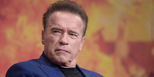 Arnold Schwarzenegger condena la toma del Capitolio utilizando la espada de Conan el Bárbaro