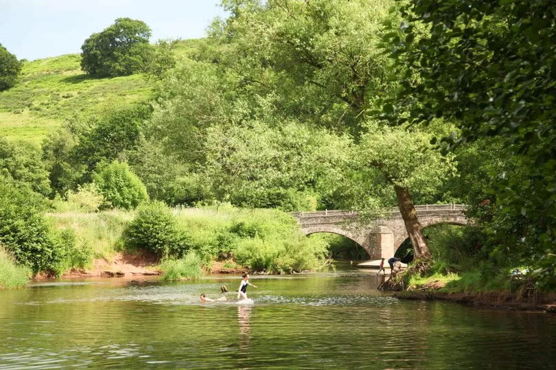 People swimming in water with bridge in background