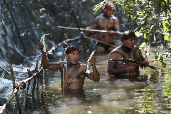 The state of Brazil’s Amazon