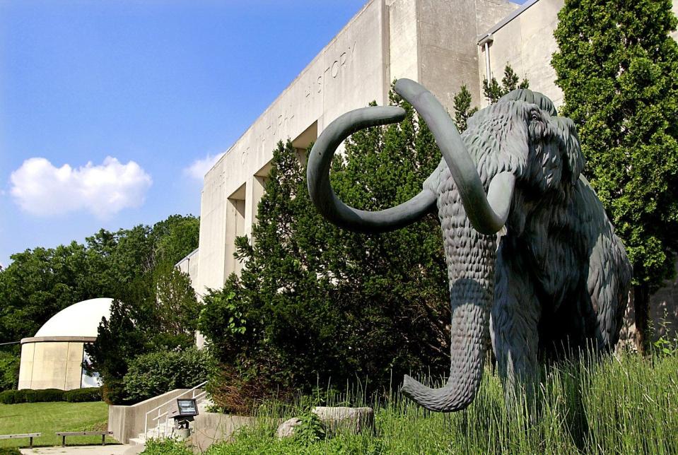 July 13, 2000: A large statue of a wooly mammoth stood in front of the old Cincinnati Museum of Natural History and planetarium. The old museum was moved to Union Terminal while the mammoth statues were relocated to a new facility on Gest Street, Queensgate.
