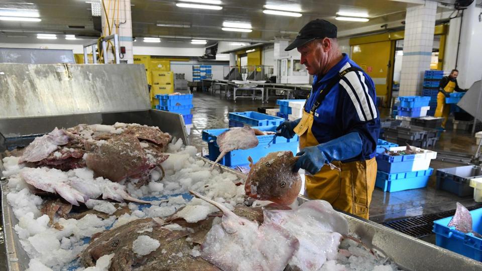 Die Fischfang-Lizenzen haben für Streit bei den Verhandlungen über ein Brexit-Abkommen im vergangenen Jahr gesorgt.