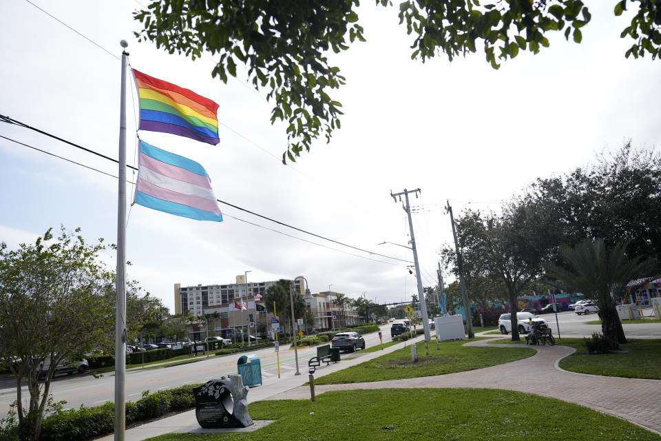 A rainbow LGBTQ+ pride flag and a transgender pride flag flap in the breeze on a pole at Justin Flippen Park, near the Wilton Manors city hall, seen center, which sometimes flies a rainbow flag from its facade, Wednesday, Jan. 17, 2024, in Wilton Manors, Fla. A bill moving forward in the Florida State House would ban the display of any flag deemed political in government buildings. The legislation is seen as another anti-LGBTQ+ bill in a state that has passed several under Republican Gov. Ron DeSantis. (AP Photo/Rebecca Blackwell)