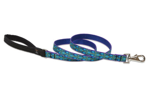 Padded Handle Dog Leash