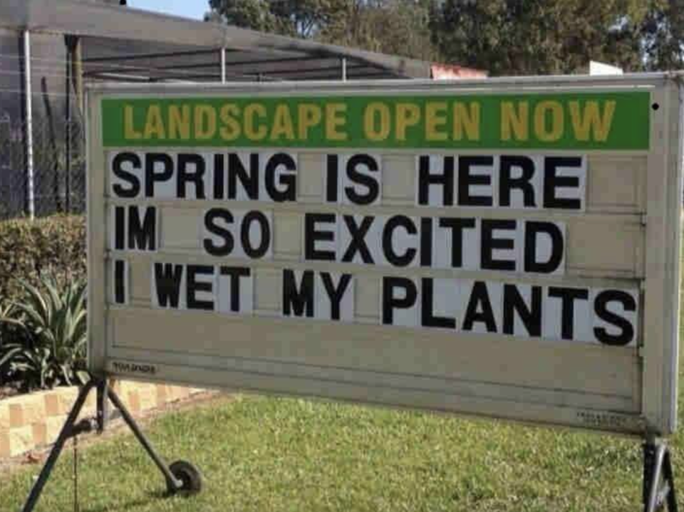 "Spring is here Im so excited I wet my plants"