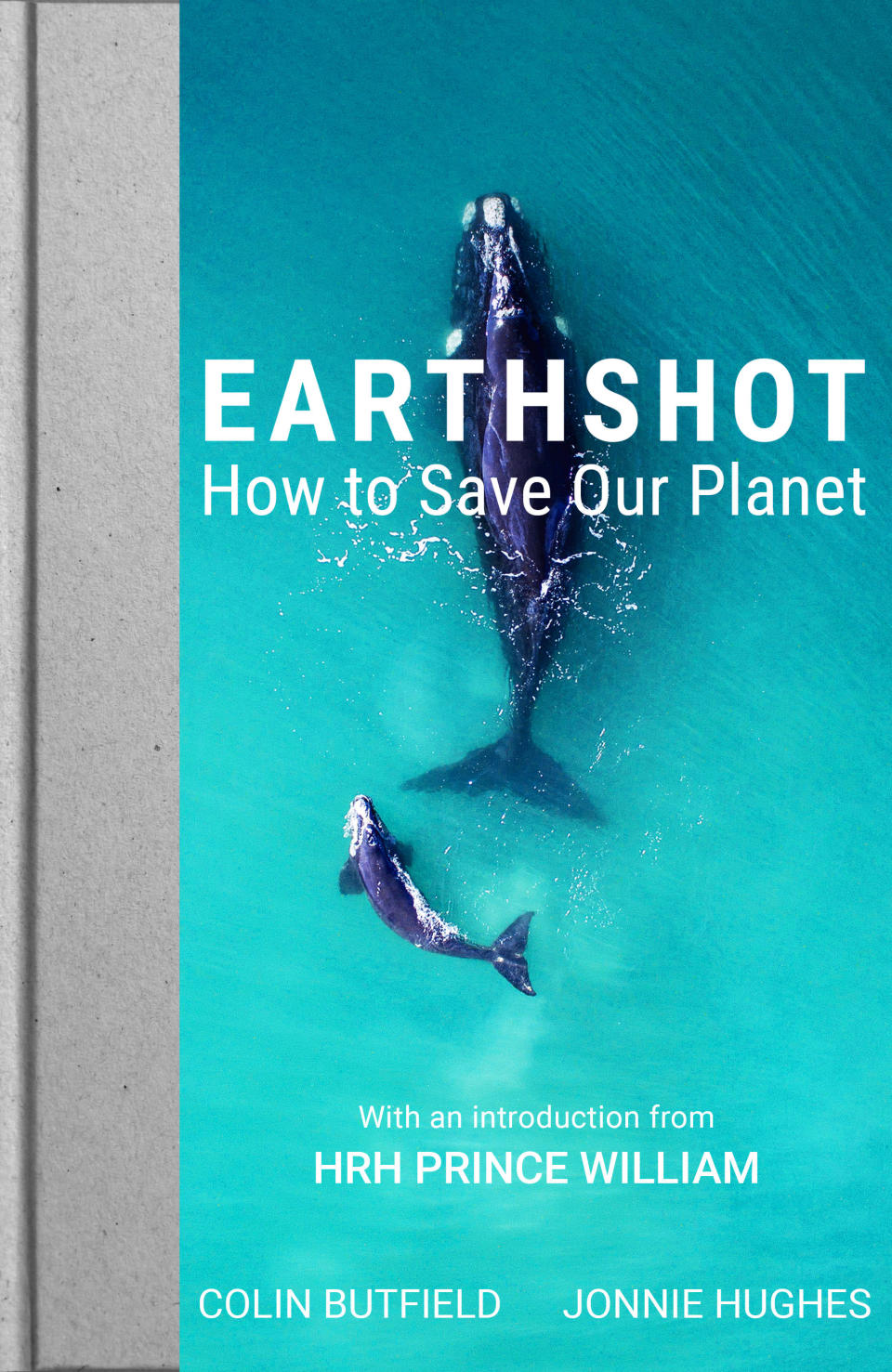 The Earthshot book