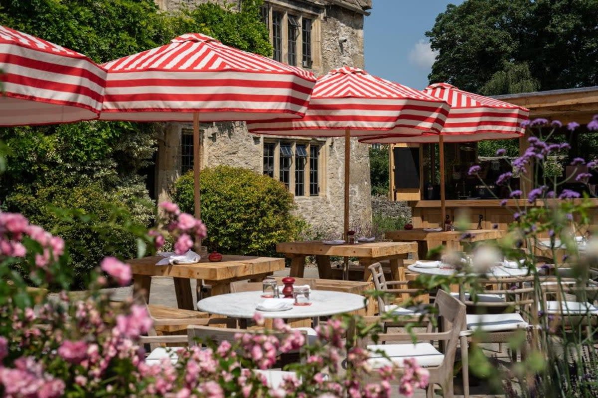 The garden at the Double Red Duke, Cotswolds (Double Red Duke)