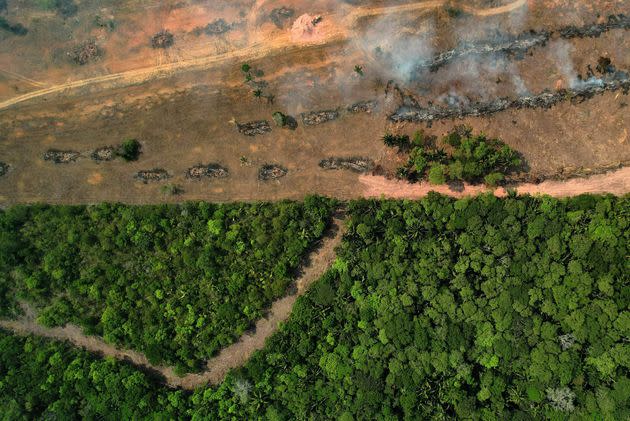 An aerial view of a burnt area in the Amazon rainforest near Porto Velho in the Brazilian state of Rondonia on Aug. 31, 2022. Experts say Amazon fires are caused mainly by illegal farmers, ranchers and speculators clearing land and torching trees. (Photo: DOUGLAS MAGNO via Getty Images)