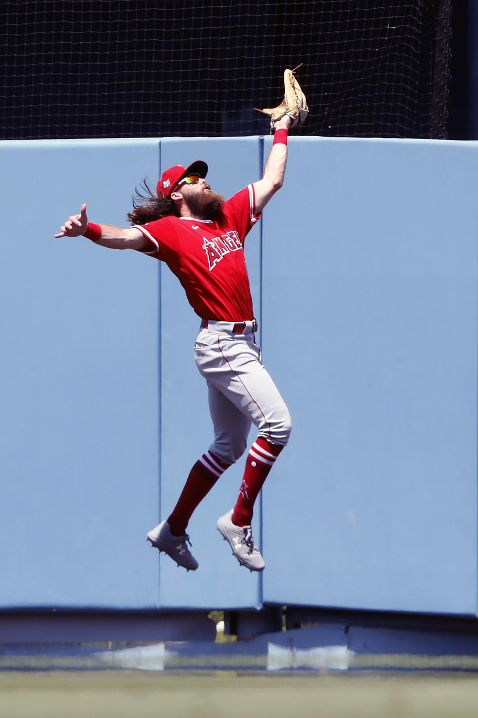 Los Angeles Angels center fielder Brandon Marsh leaps to catch a fly ball hit by Los Angeles Dodgers' Max Muncy during the second inning of a baseball game in Los Angeles, Sunday, Aug. 8, 2021. (AP Photo/Alex Gallardo)