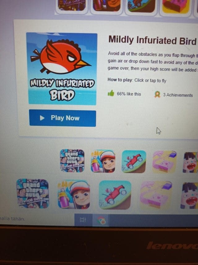 a game called Mildly Infuriated Bird