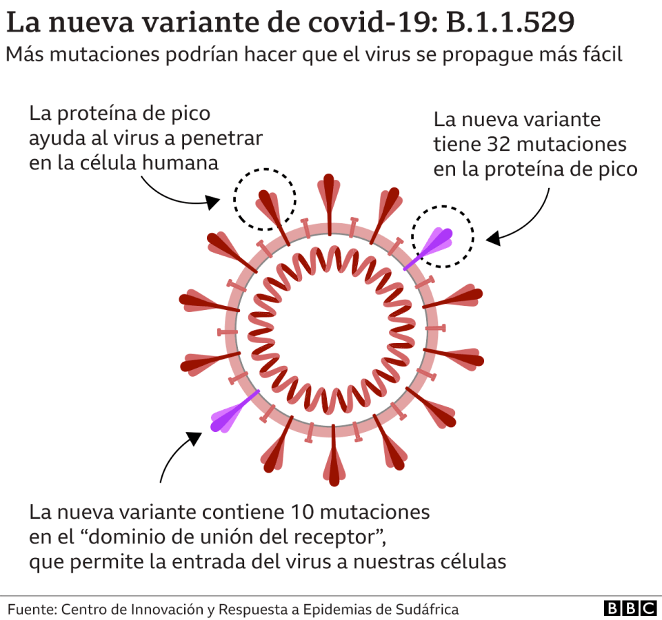 Gráfico de la variante Ómicron