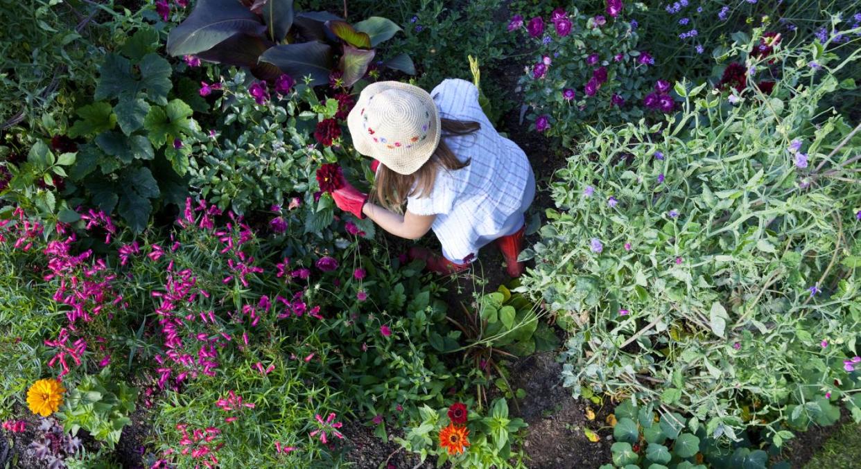 Gardening tools to help you create your kingdom (Getty Images)