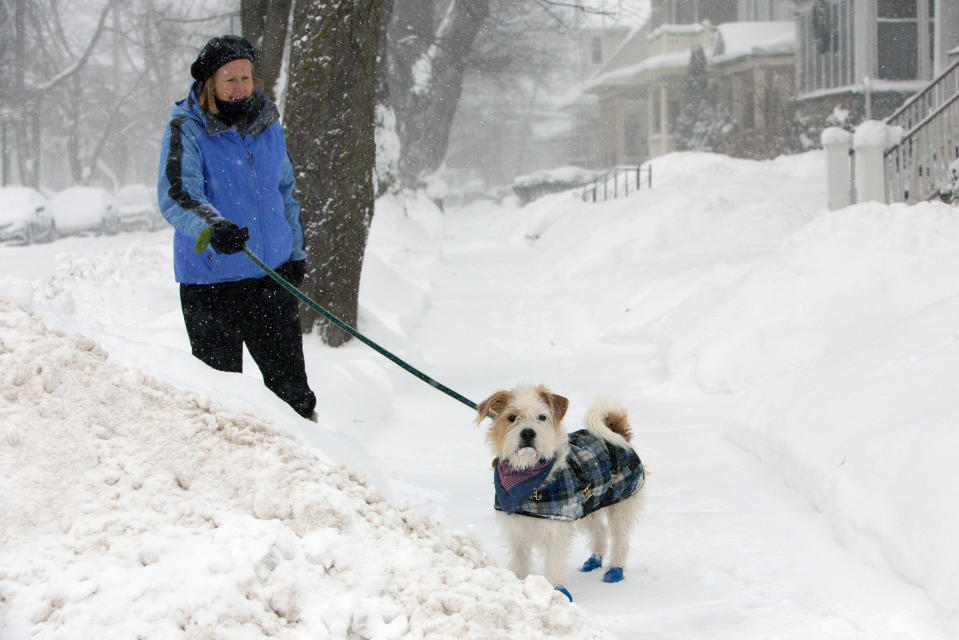 Woman and dog walk in the snow during a winter storm in Buffalo, New York