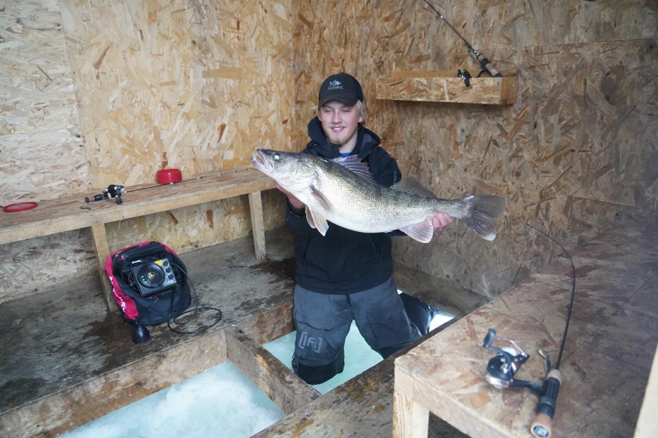 Brody Alexander, a guide with Ice Fish Green Bay and Alexander's Sport Fishing, holds a 30.5-inch-long, 11.65-pound walleye caught moments before by Milwaukee Journal Sentinel outdoors editor Paul Smith while ice fishing on Rileys Bay, part of Green Bay in Door County.