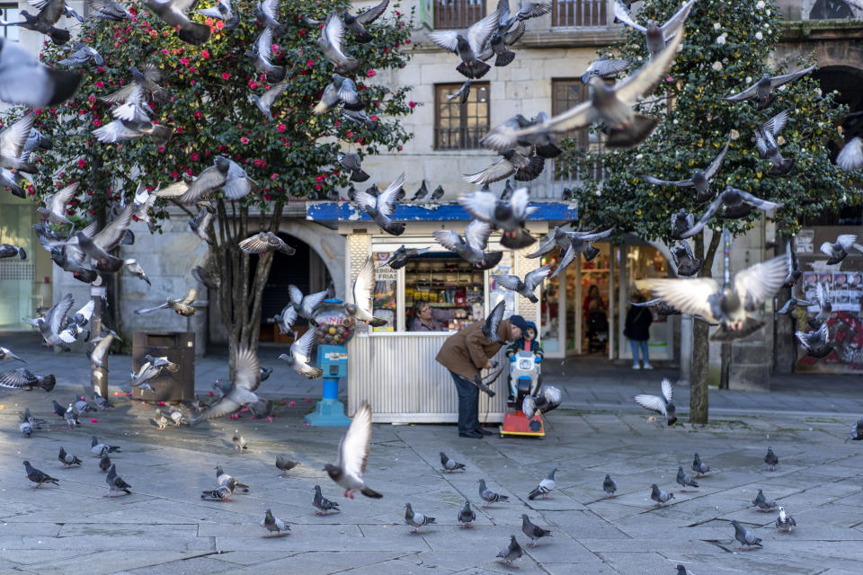 Pigeons enjoy the empty streets of Pontevedra.