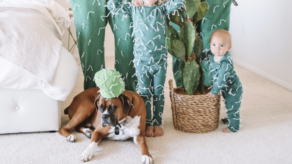 group family diy halloween costumes