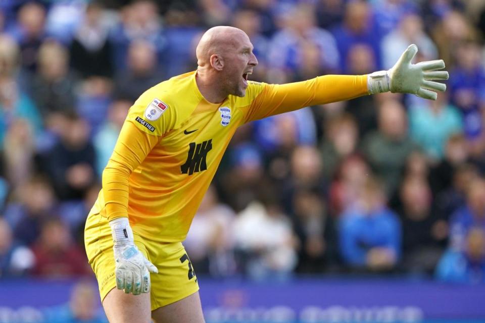 Birmingham goalkeeper John Ruddy <i>(Image: PA)</i>